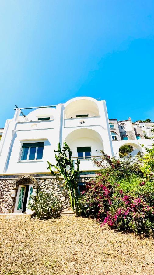 Villa La Zagara By Caprirooms Εξωτερικό φωτογραφία