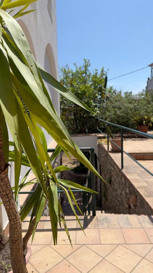 Villa La Zagara By Caprirooms Εξωτερικό φωτογραφία