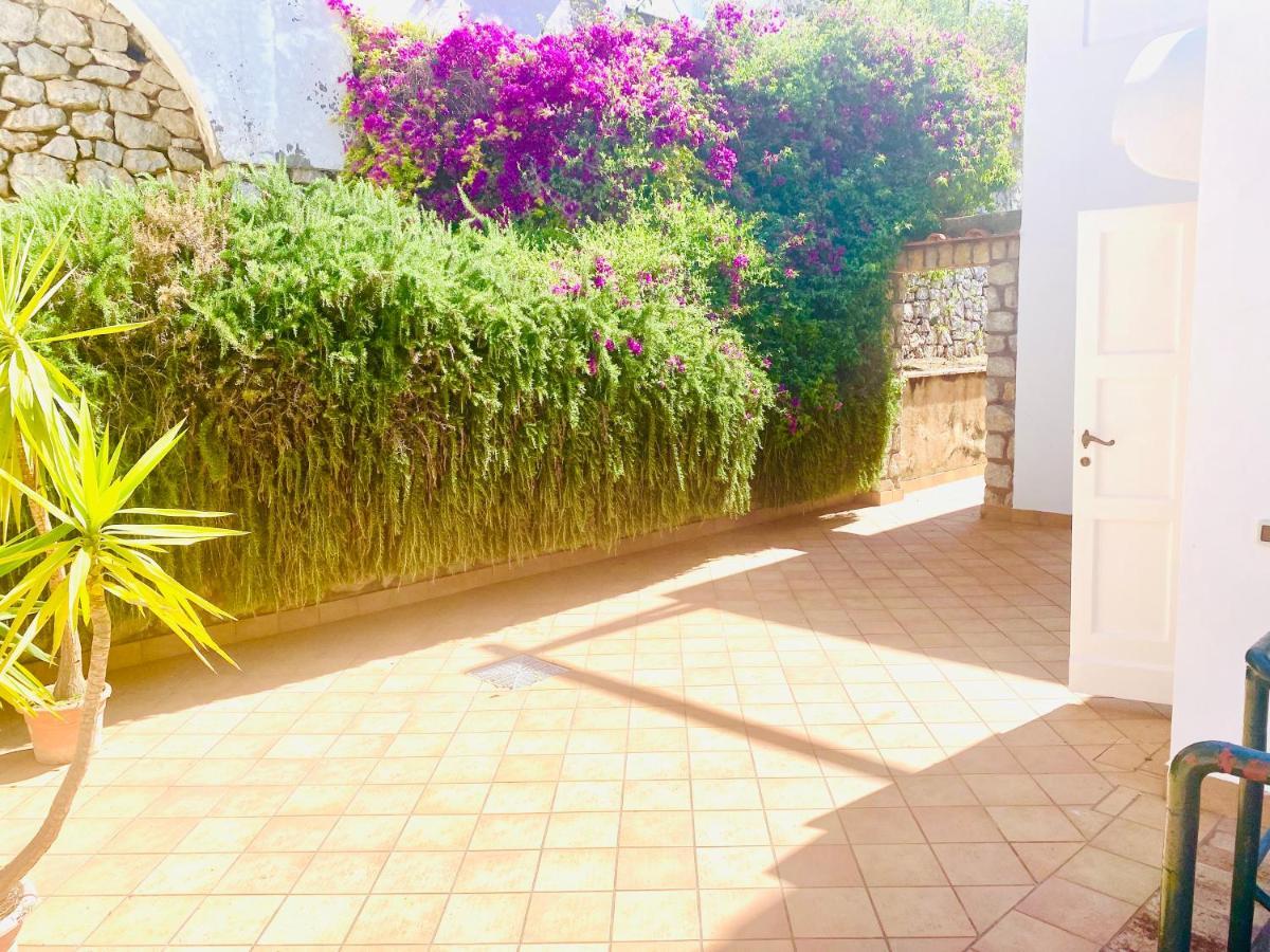 Villa La Zagara By Caprirooms Εξωτερικό φωτογραφία